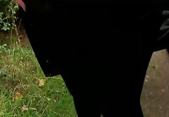 Siyah yok. Önce-26 hint seks videoları
